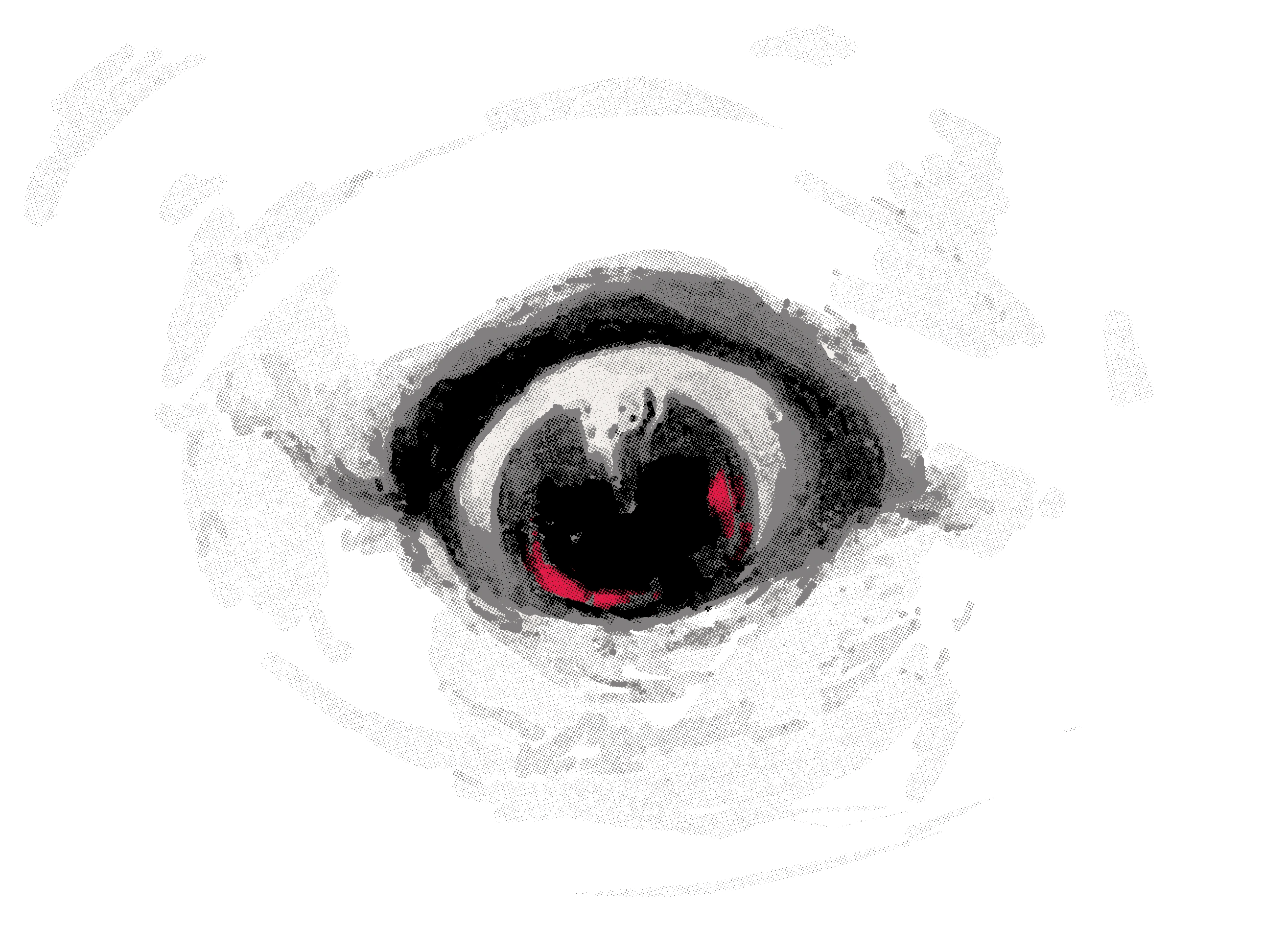 eye